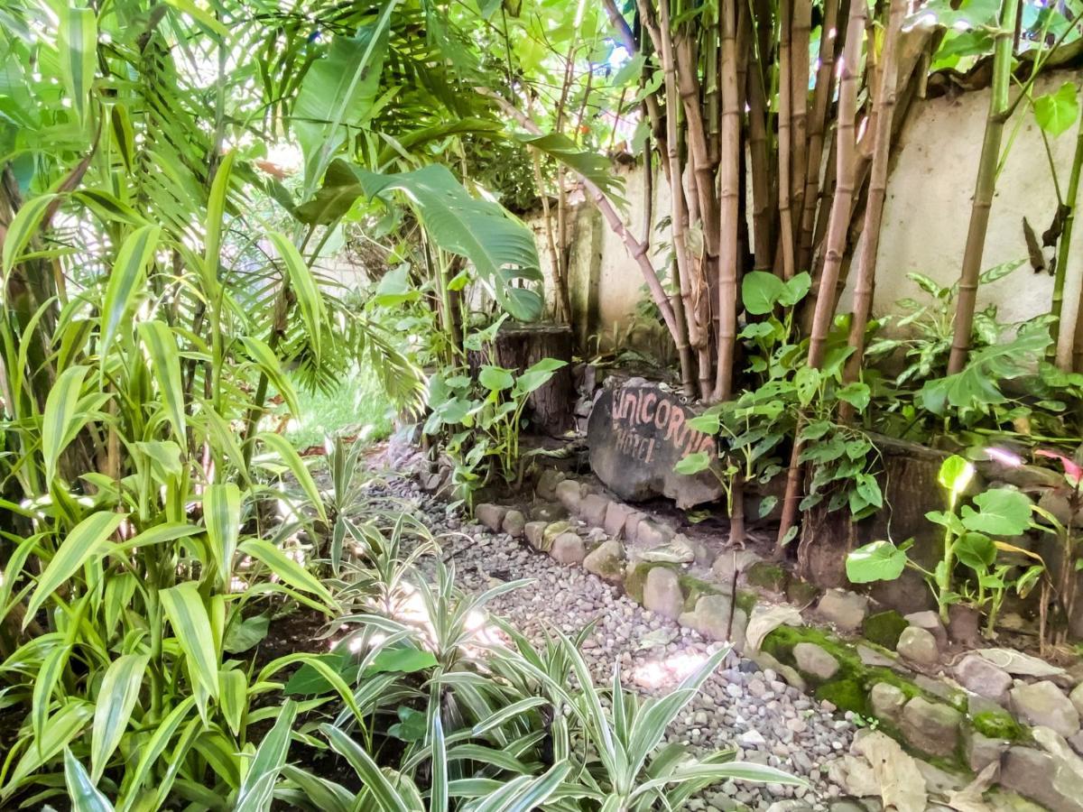 Unicorn Reborn - Peaceful Rentals San Marcos La Laguna Zewnętrze zdjęcie