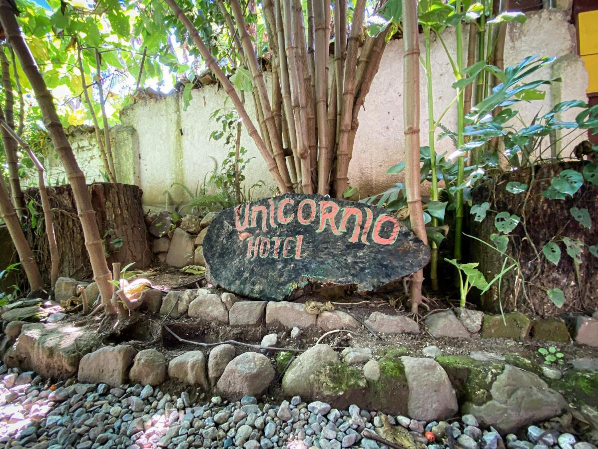 Unicorn Reborn - Peaceful Rentals San Marcos La Laguna Zewnętrze zdjęcie