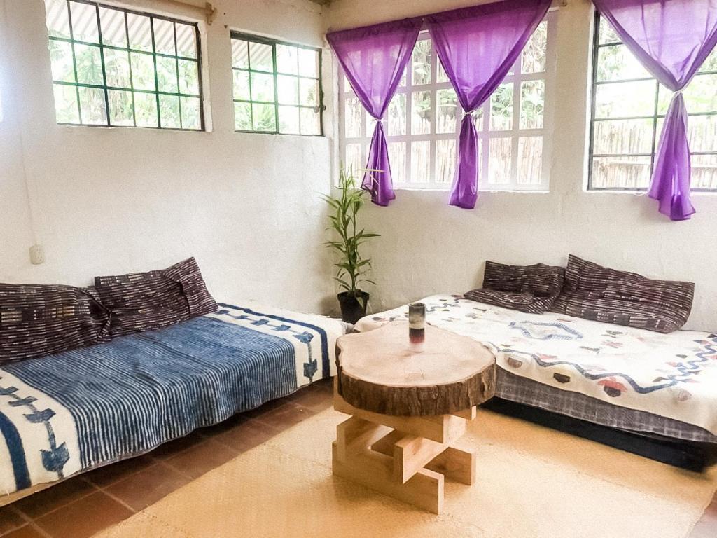 Unicorn Reborn - Peaceful Rentals San Marcos La Laguna Zewnętrze zdjęcie